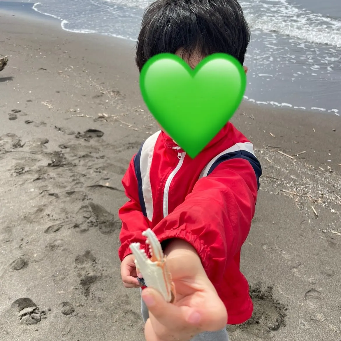 【児発・放デイ】ビーチコーミング🐚