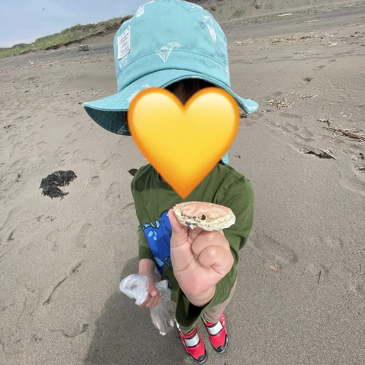 【児発・放デイ】ビーチコーミング🐚
