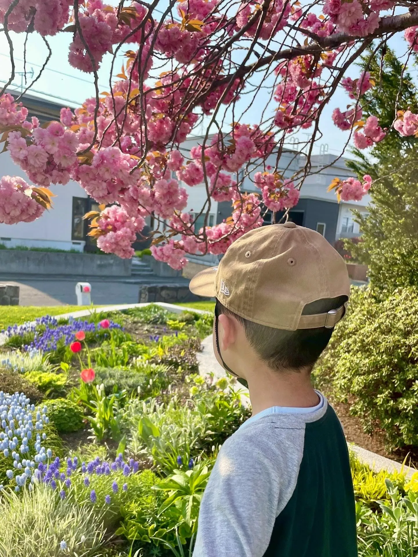 【児発】公園遊び！お花がとても綺麗でした🌷