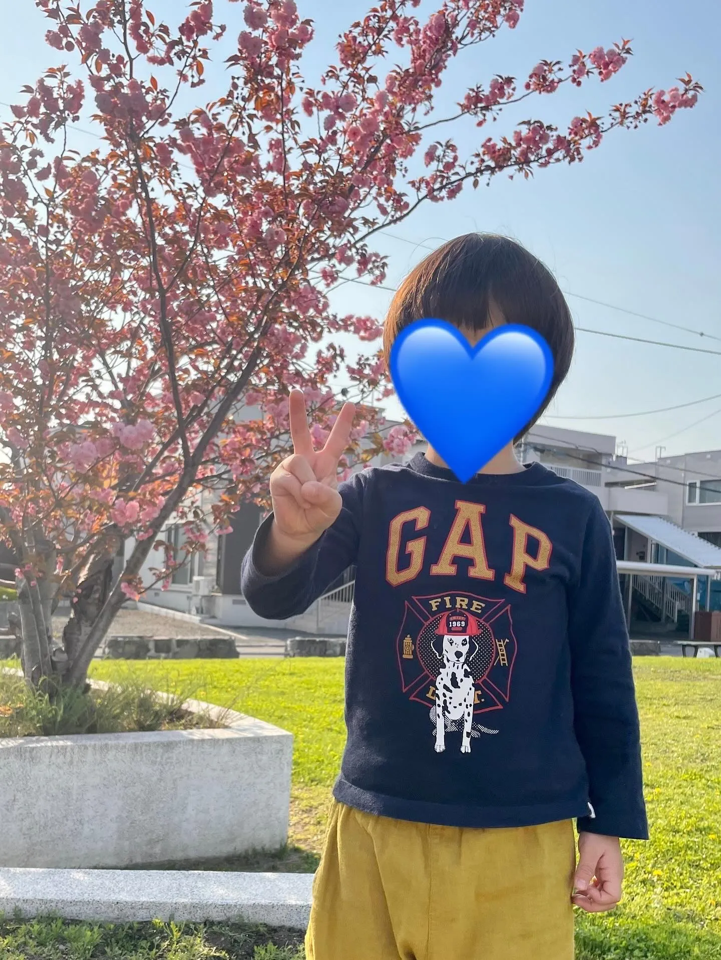 【児発】公園遊び！お花がとても綺麗でした🌷【札幌北区児童デイ...