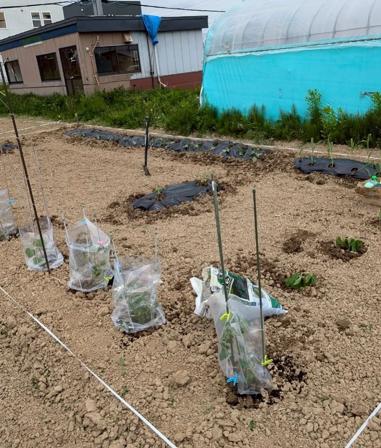 こんにちは！こぱんはうすさくら札幌太平教室です！