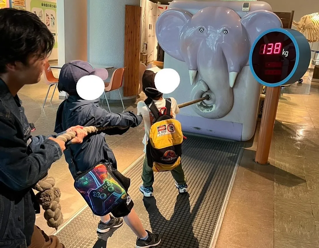 こんにちは！