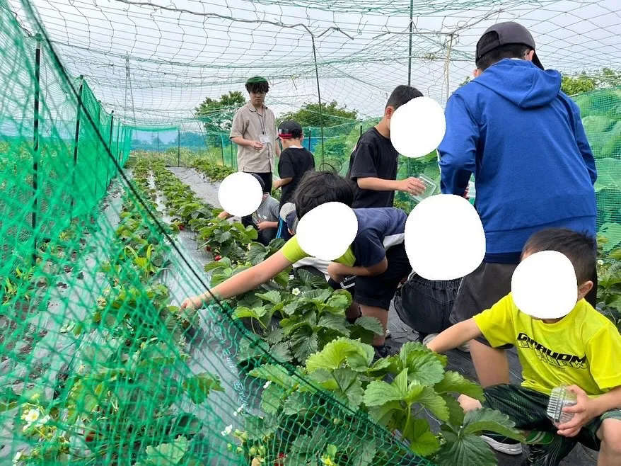 【児発】【放デイ】みんなでいちご狩り🍓