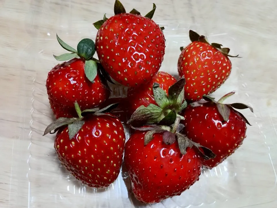 【児発】【放デイ】みんなでいちご狩り🍓