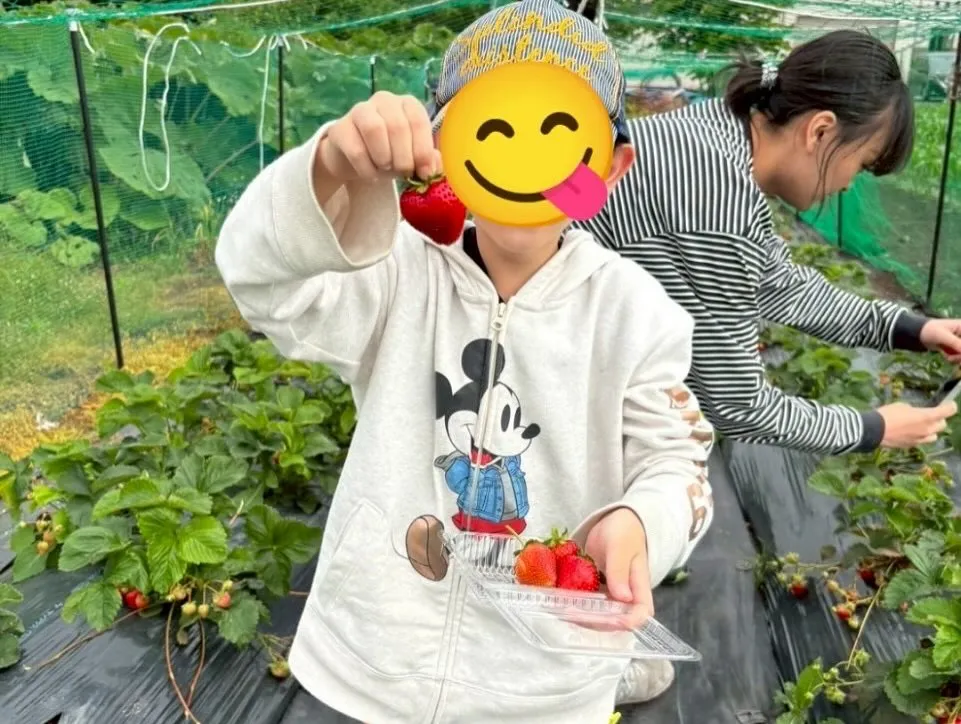 【児発】【放デイ】みんなでいちご狩り🍓