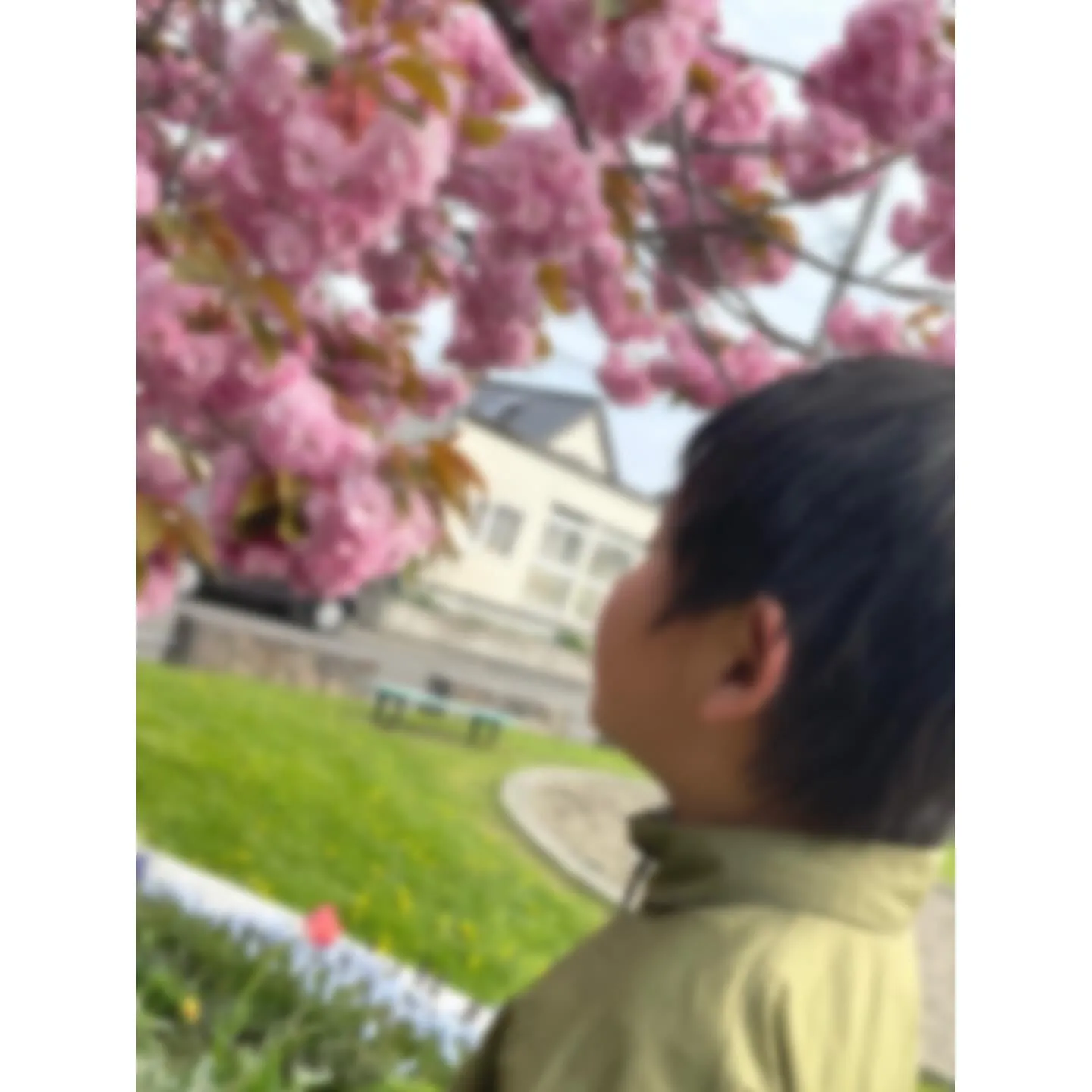 子育ての不安、相談してみませんか？【無料・お気軽にどうぞ】