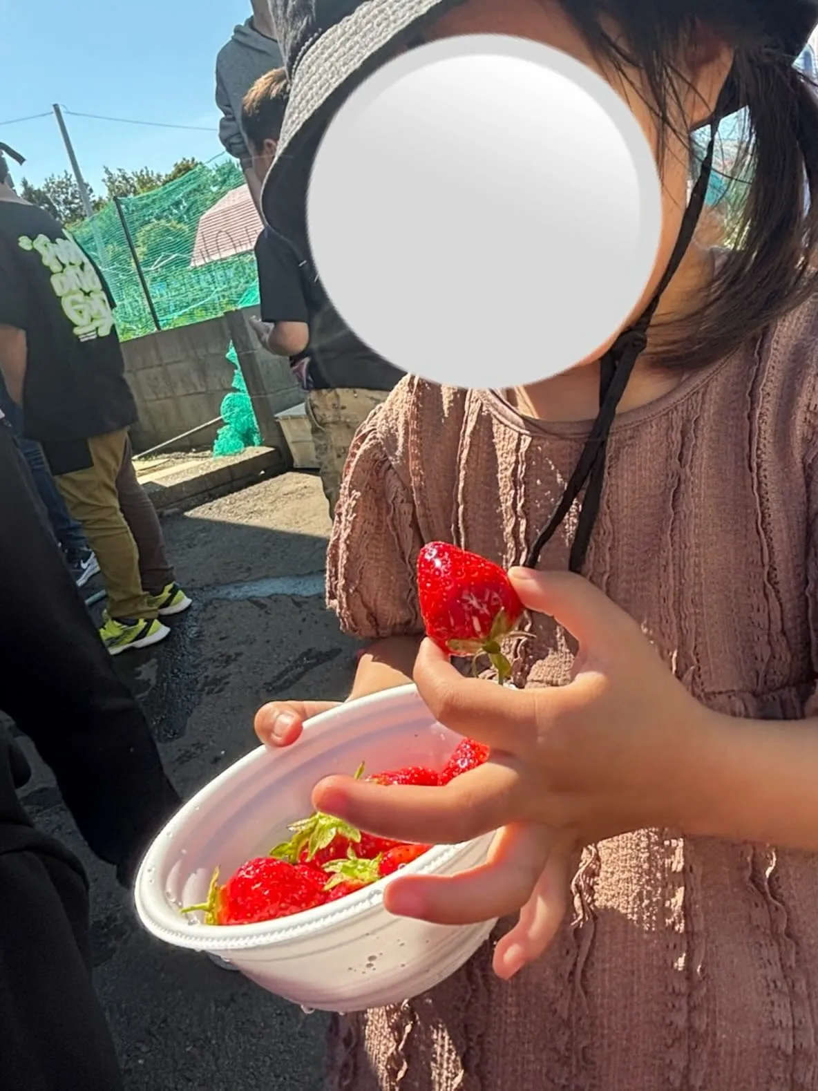 [児発・放デイ]いちご狩り[札幌市北区児童デイ]