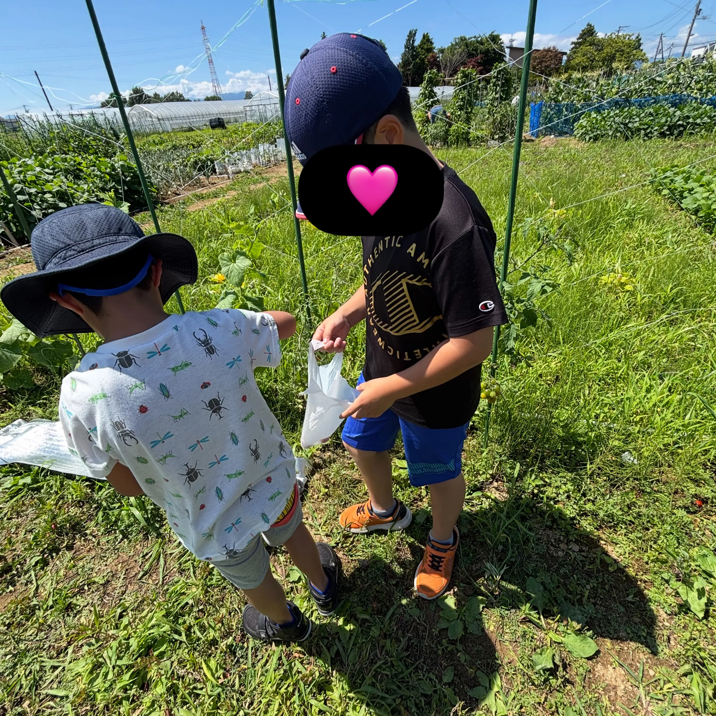 【放デイ】今日はクッキング!【札幌市北区児童デイ】