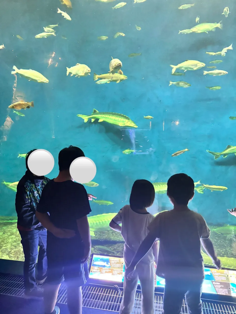 【放デイ】千歳水族館の日【札幌市北区児童デイ】