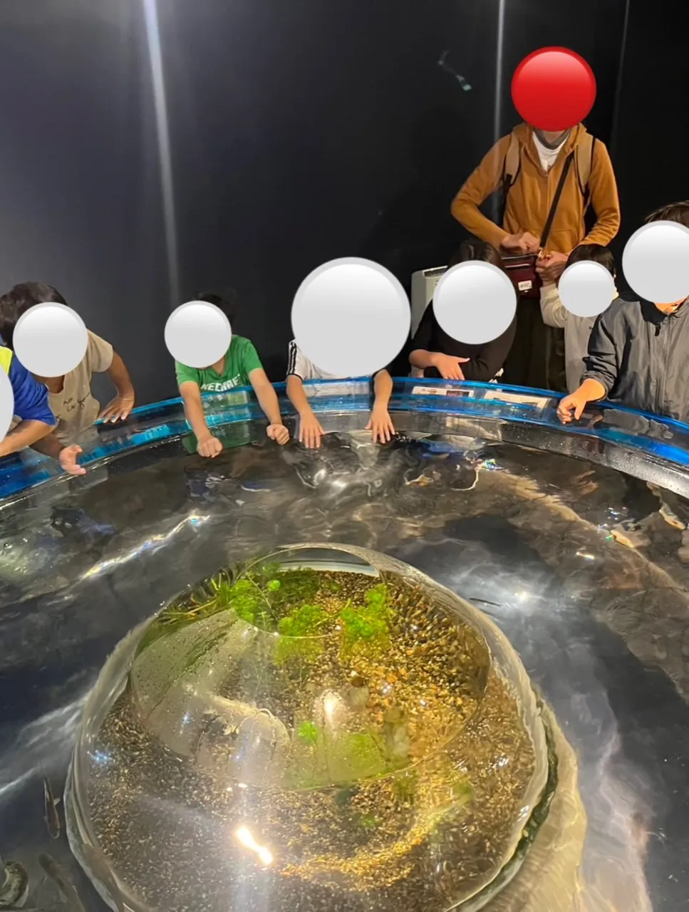 【放デイ】千歳水族館の日【札幌市北区児童デイ】