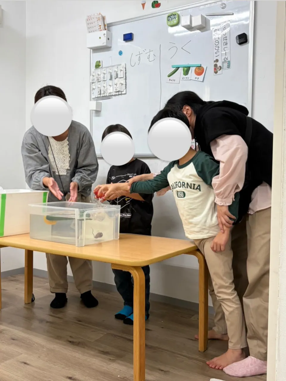 【児発】野菜の実験【札幌市北区児童デイ】