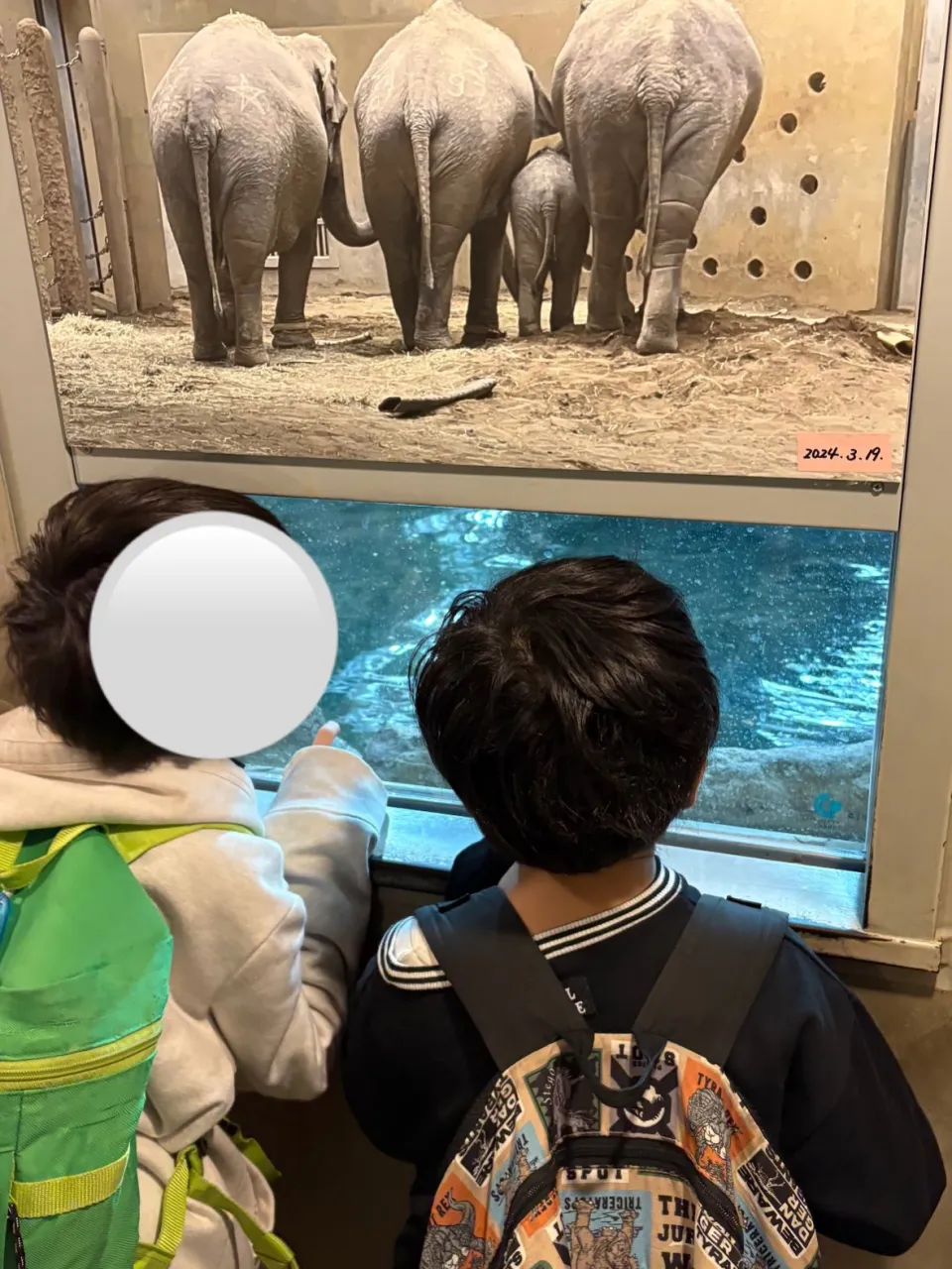【児発、放デイ】円山動物園【札幌市北区児童デイ】