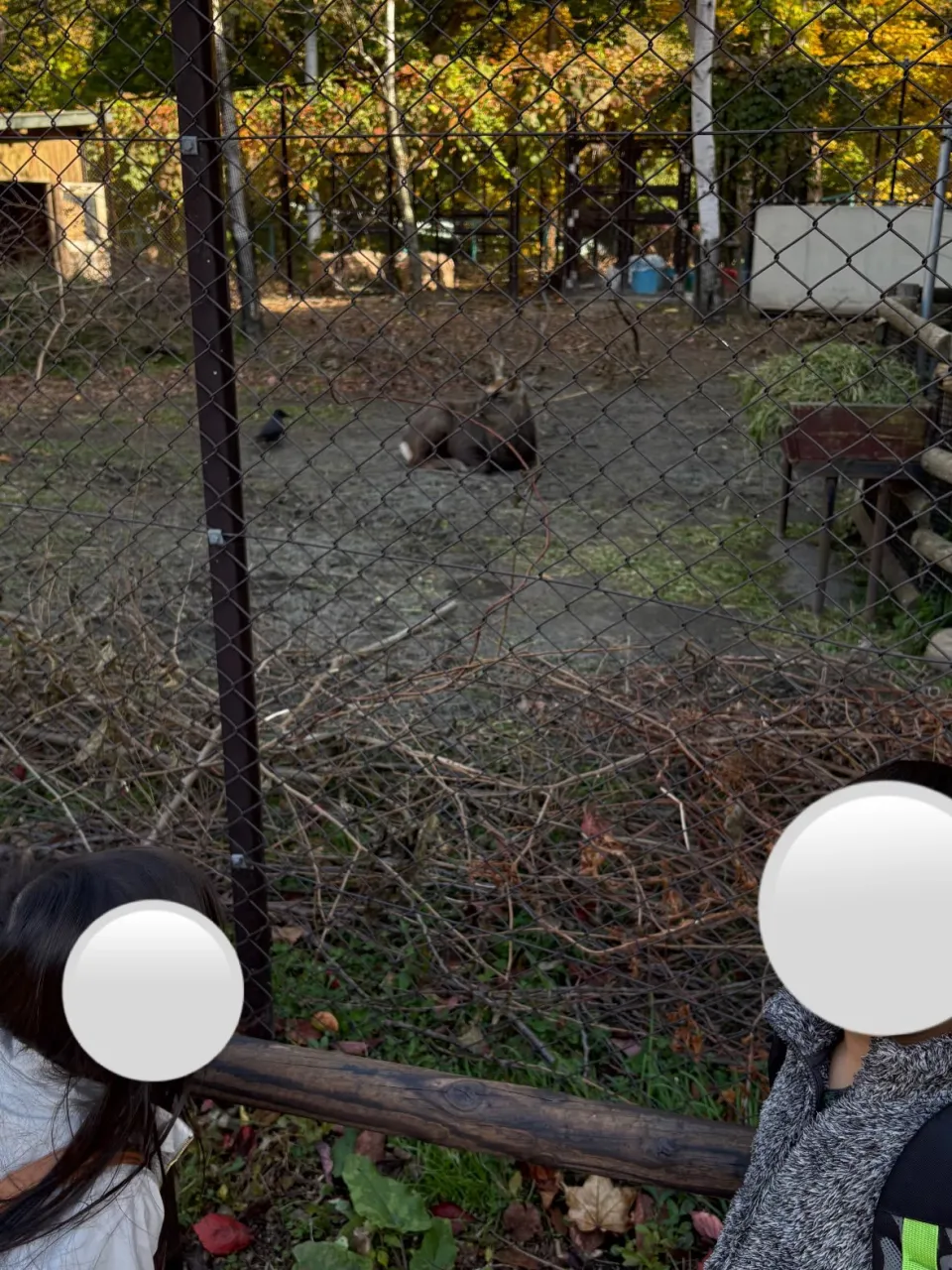 【児発、放デイ】円山動物園【札幌市北区児童デイ】